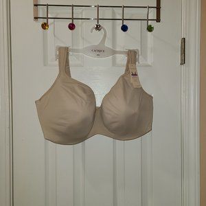Lane Bryant Cacique Bra - 40G